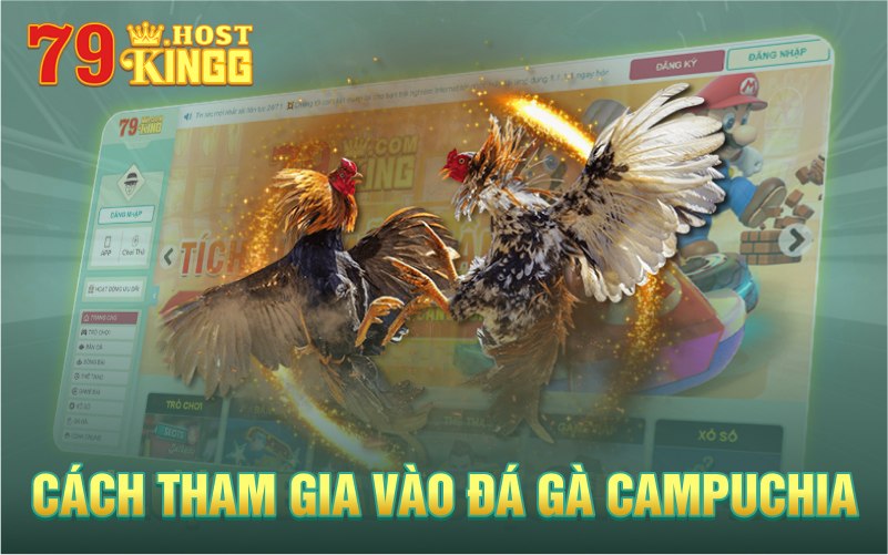 Hướng dẫn cách đặt cược vào đá gà Campuchia 79KING