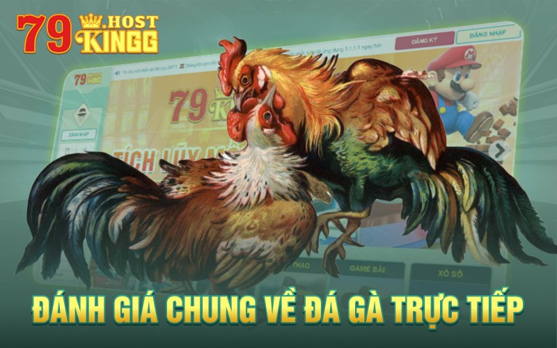 Giới thiệu đôi chút về sảnh đá gà trực tuyến tại KING 79