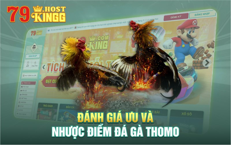 Đánh giá ưu và nhược điểm cá cược đá gà Thomo 79KING