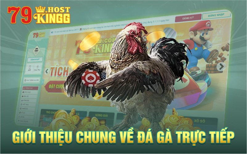 Đá giá chung về đá gà trực tiếp