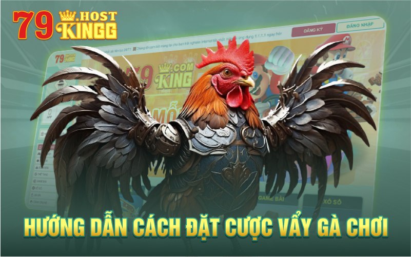 Hướng dẫn đặt cược gà chọi tại 79KING