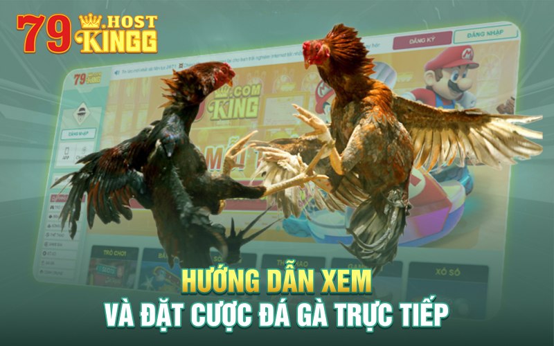 Link vào 79KING có đa dạng hình thức đá gà trực tiếp