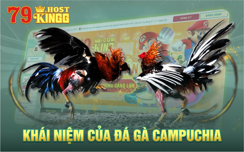 Khái niệm đá gà campuchia