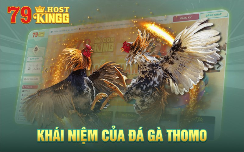 Khái niệm thế nào là chọi gà Thomo