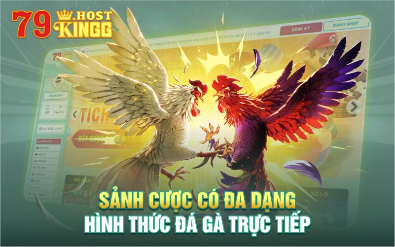 Hướng dẫn cách xem và đặt cược vào đá gà trực tiếp