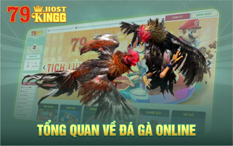 Tổng quan về sân chơi chọi gà KING 79