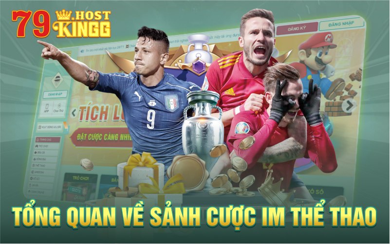 Tổng quan về sảnh cược IM thể thao